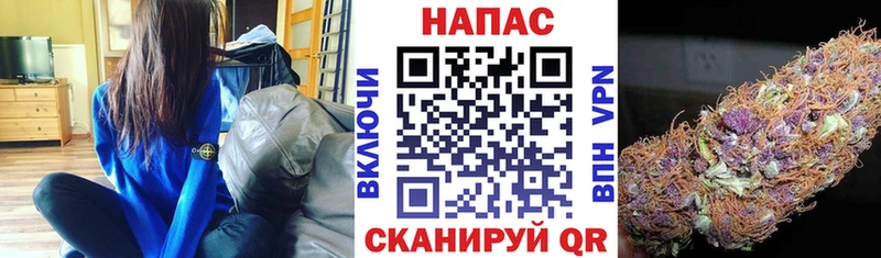 как найти наркотики  Ахтубинск  Марихуана план 