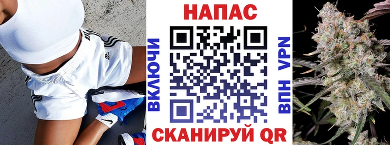 Конопля планчик Ахтубинск